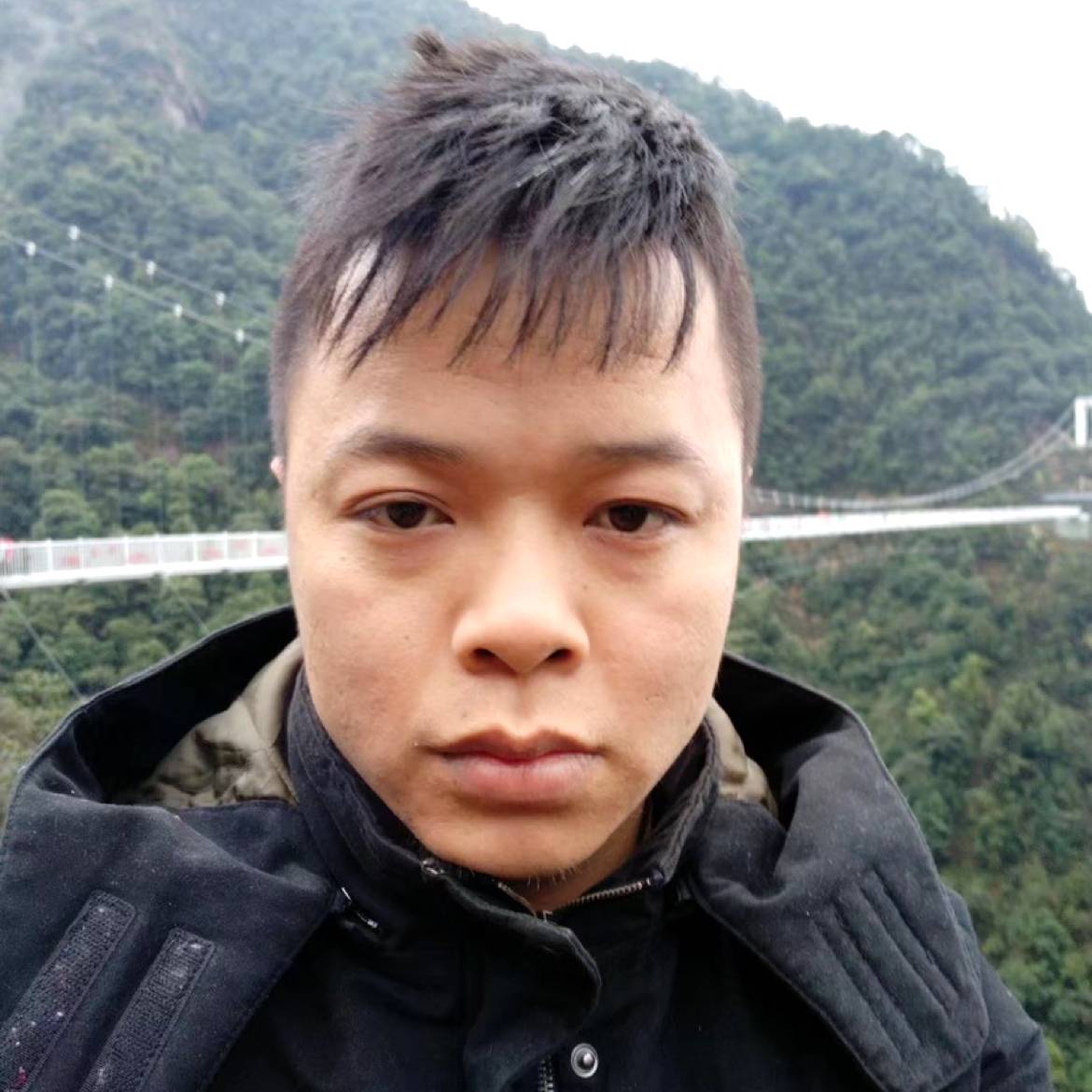 顺心漫步向日葵的照片