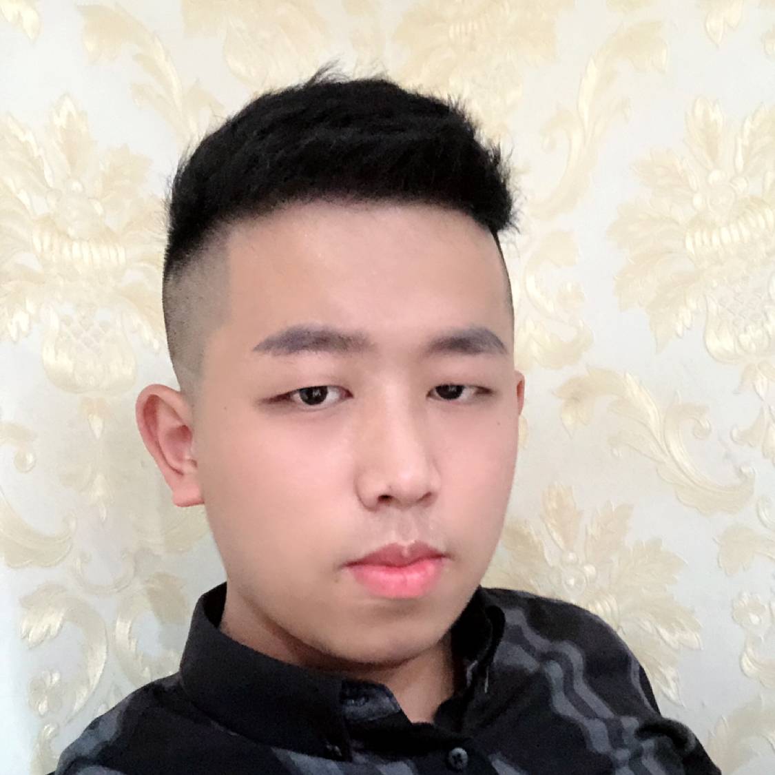 动听放弃蚂蚁的照片