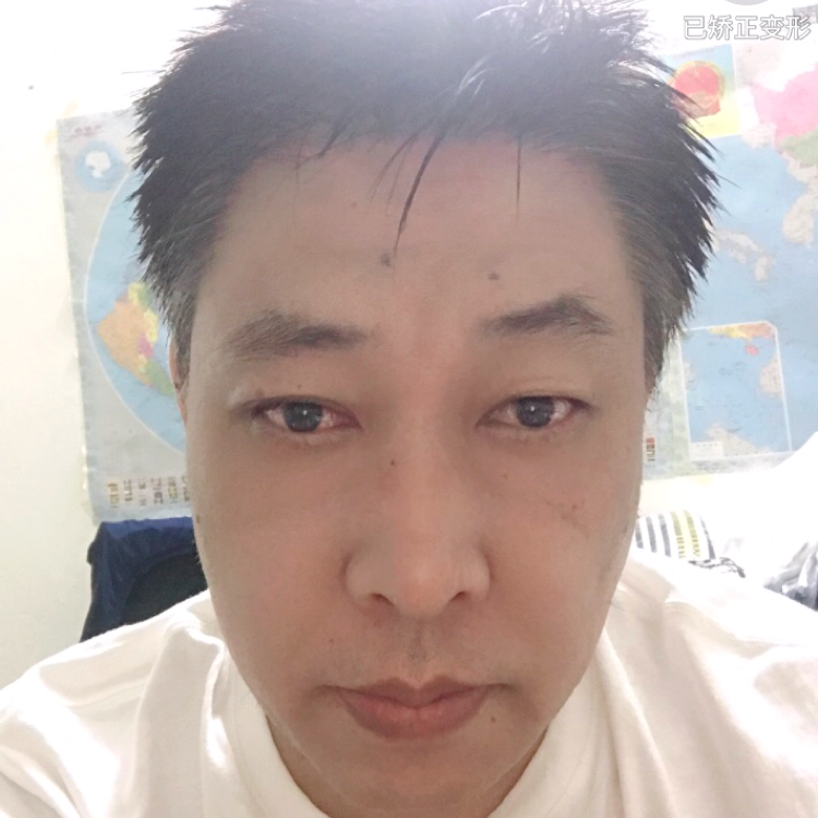 小天鹅打默默的照片
