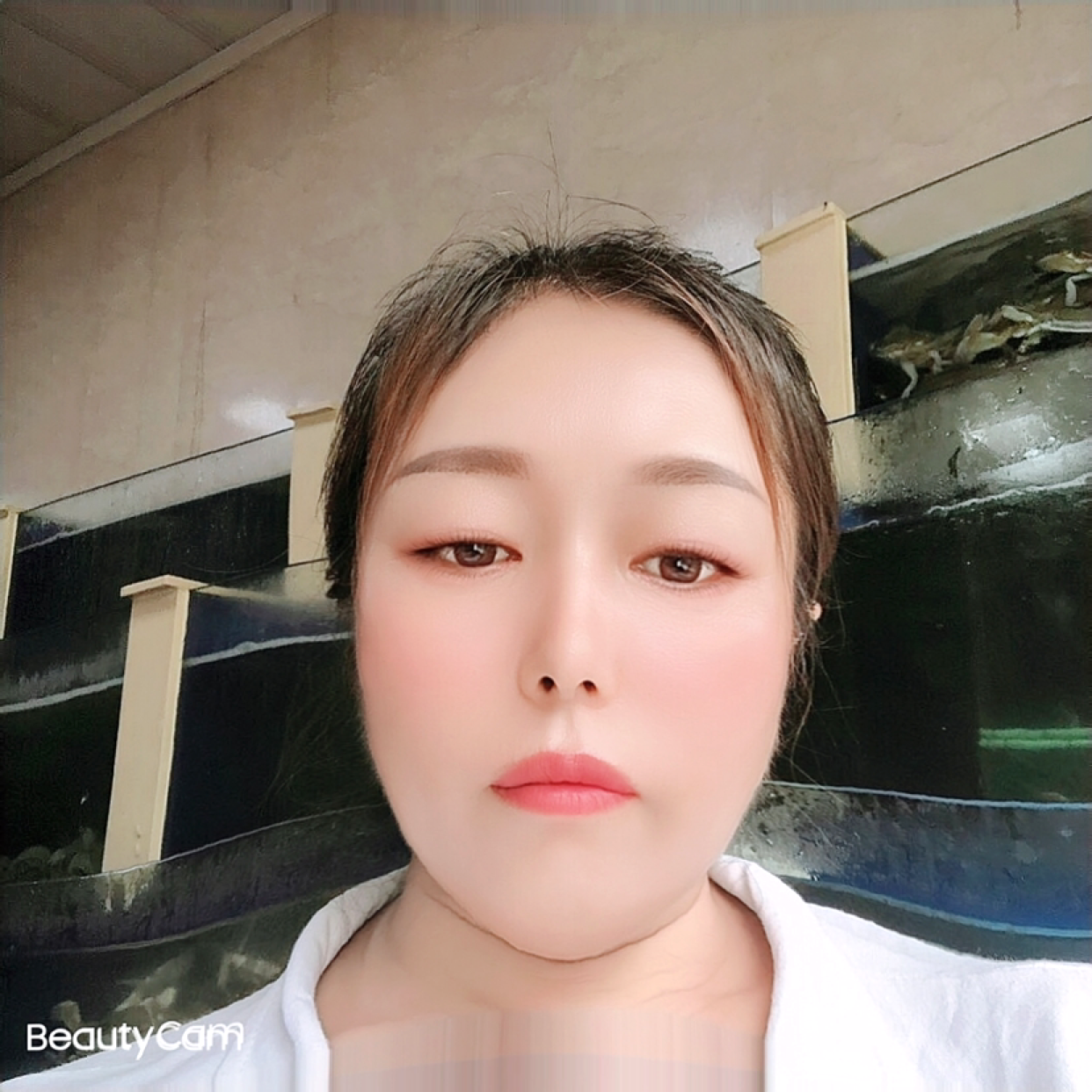 无辜演变铃铛的照片