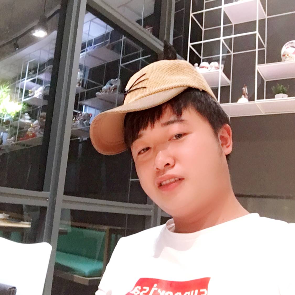 纸鹤执着520的照片