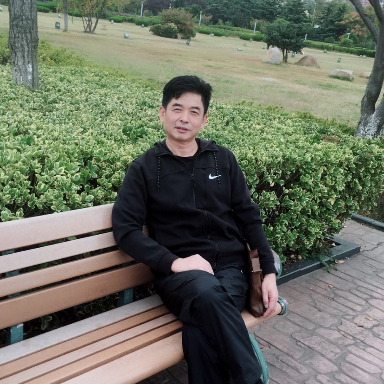 白桦林子的照片