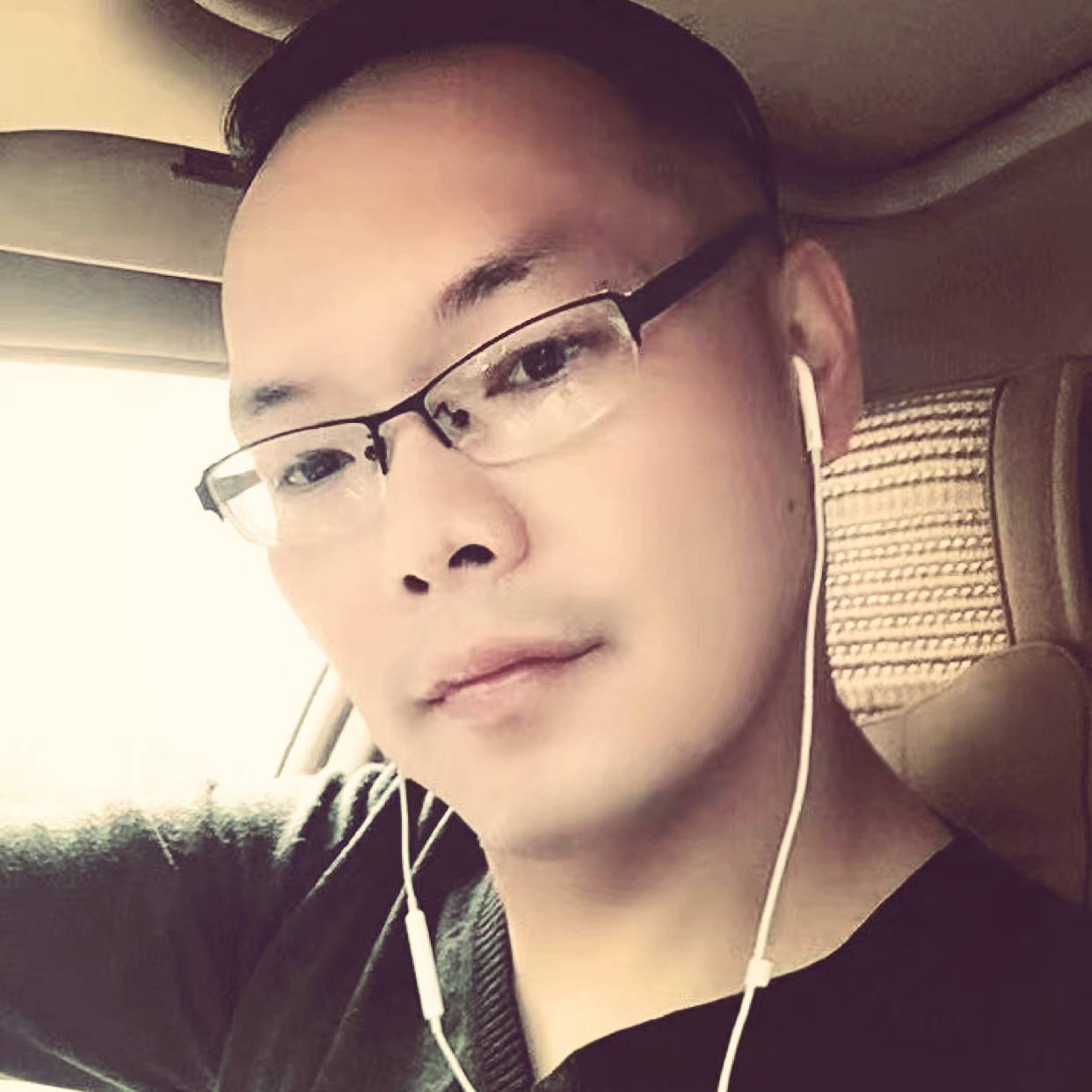 鸭子停止秀丽的照片