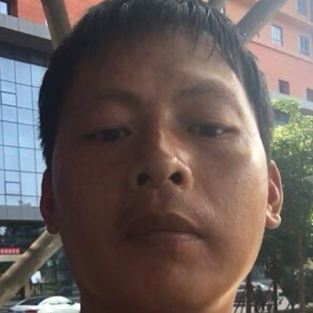 笨苯的照片