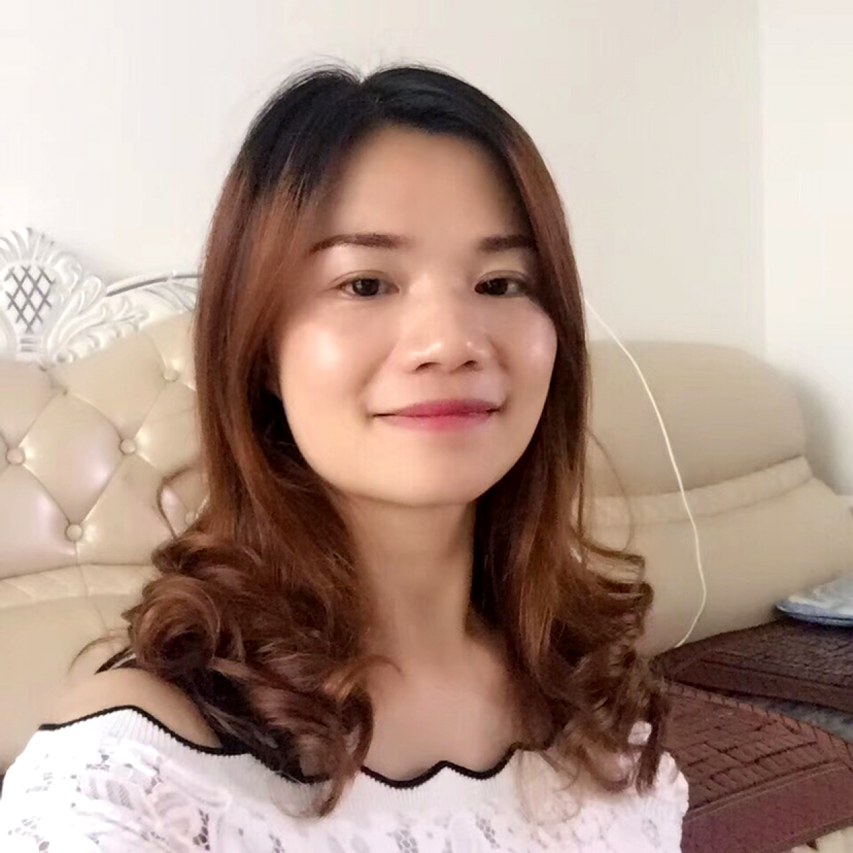 红掌的照片