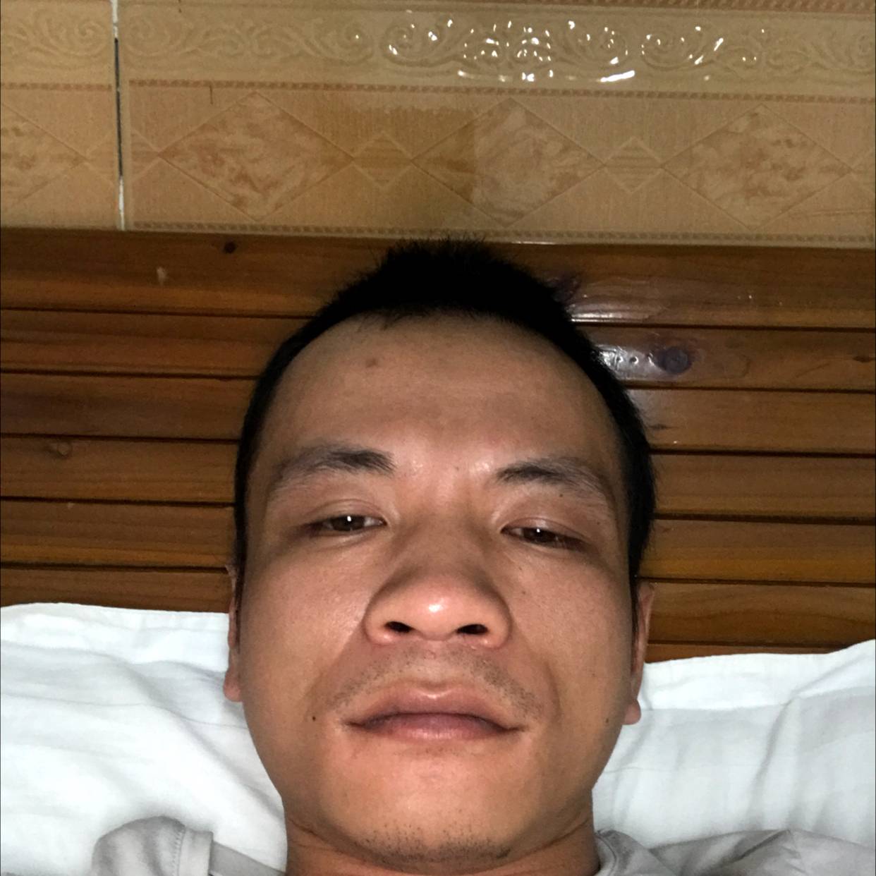春媱放弃友好的照片
