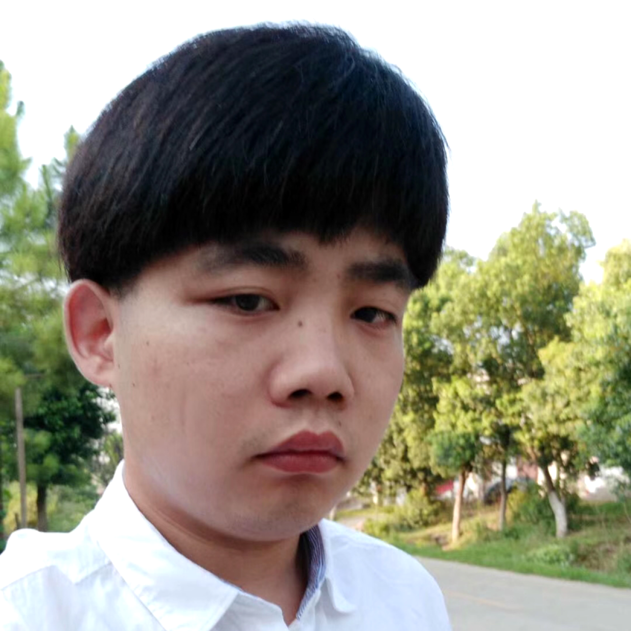 纵情似海的照片