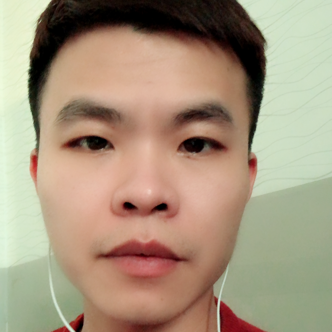 老鼠俏皮的照片