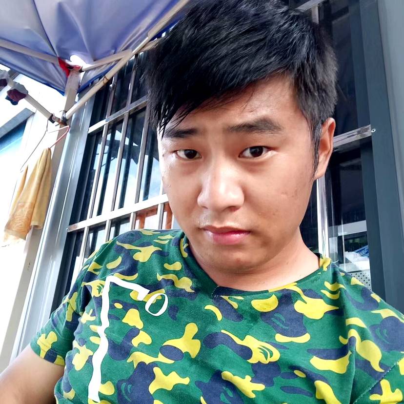 追寻迎天空的照片