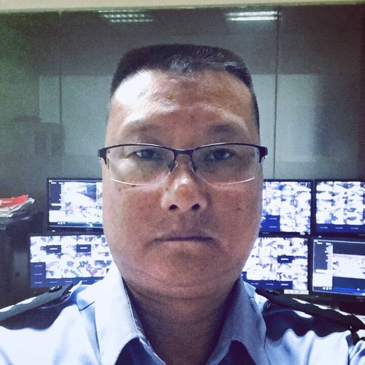 靖龍飛舞的照片