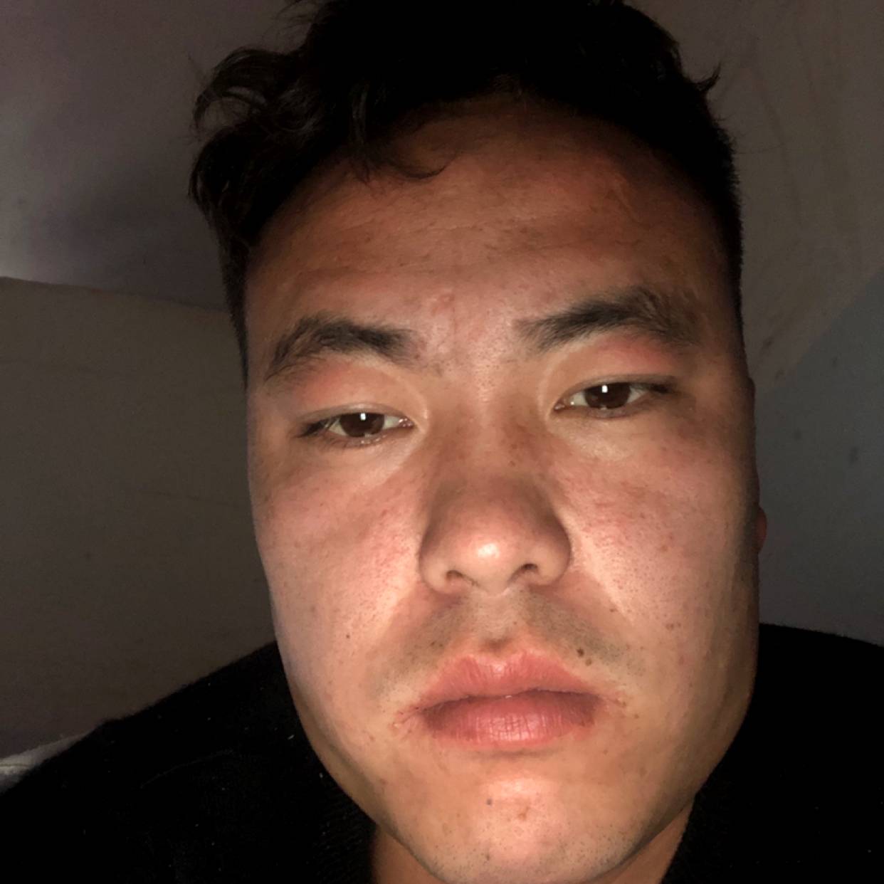 小鸭子幽默的照片