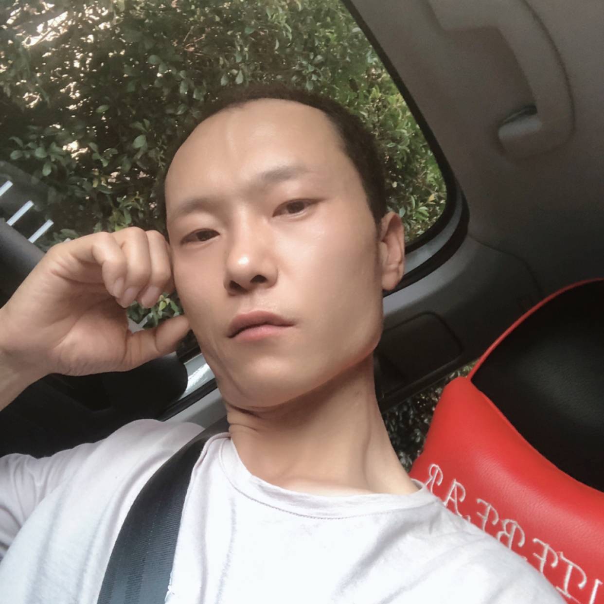 真心、寻爱的照片