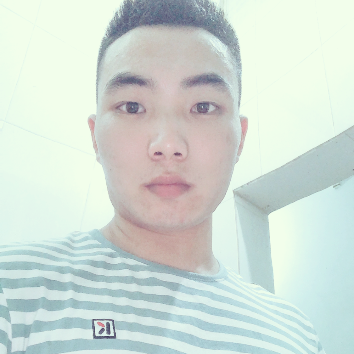 初夏打小海豚的照片