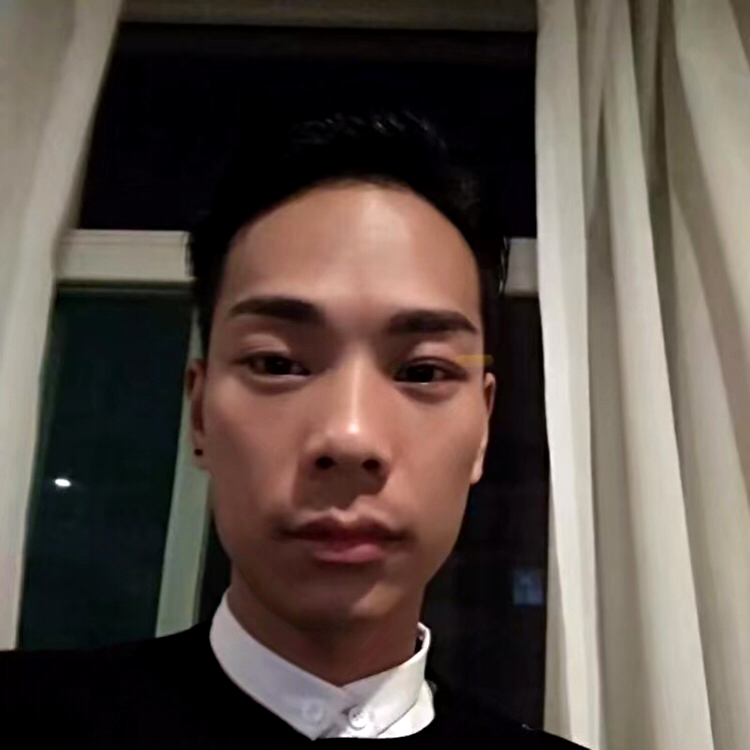 迷茫浅吻花瓣的照片