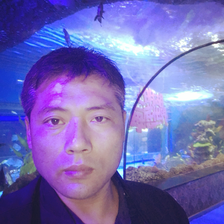 做梦都是你的照片