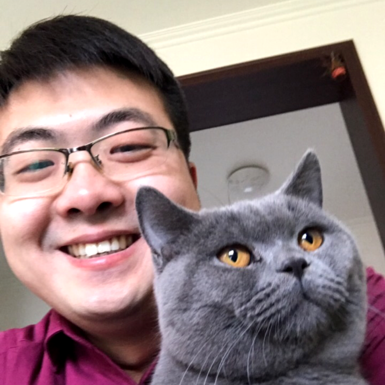 六角z的照片