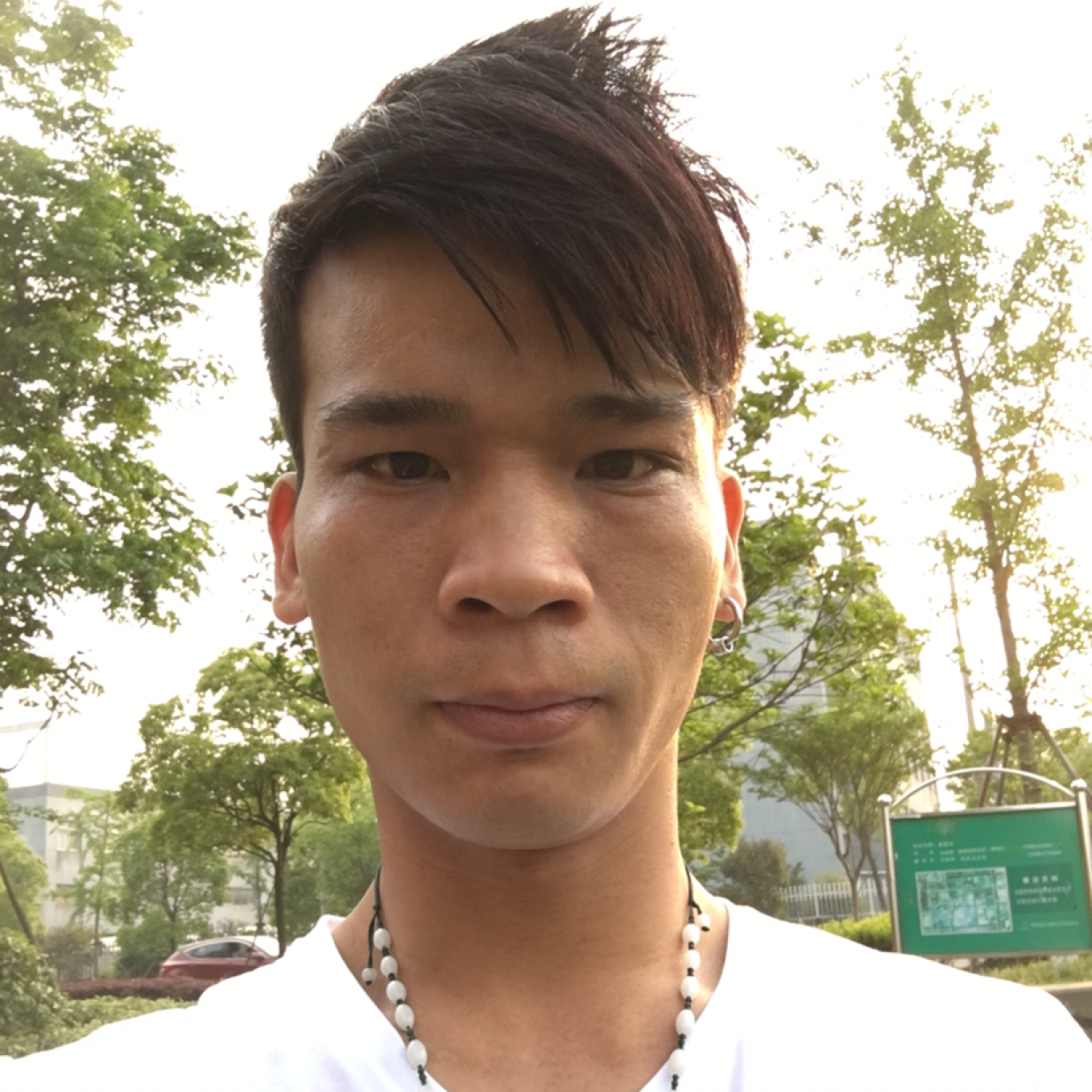 南鸢漫步感性的照片