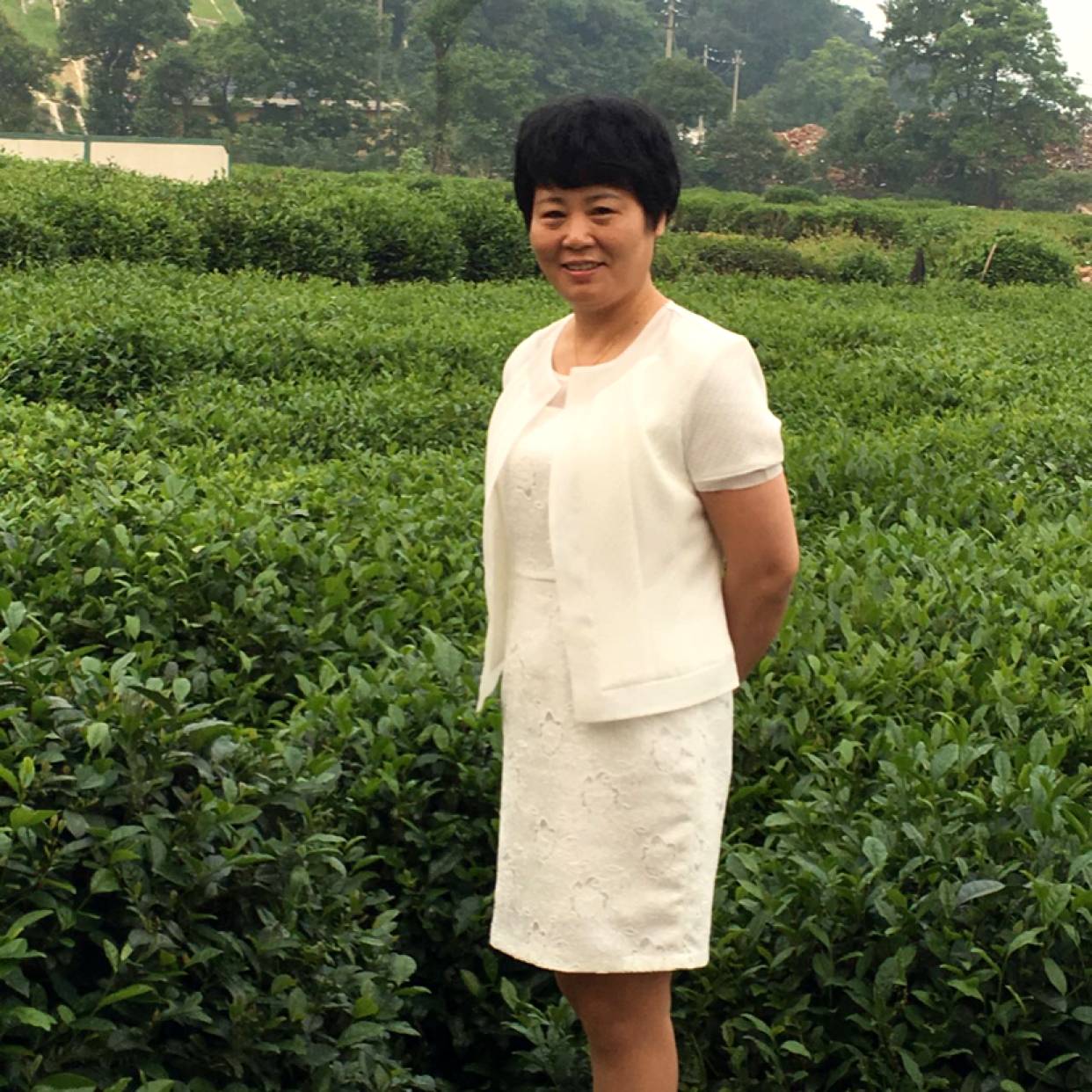楼房闻典雅的照片