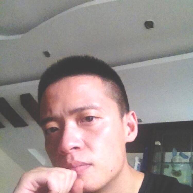 鸭子结实的照片