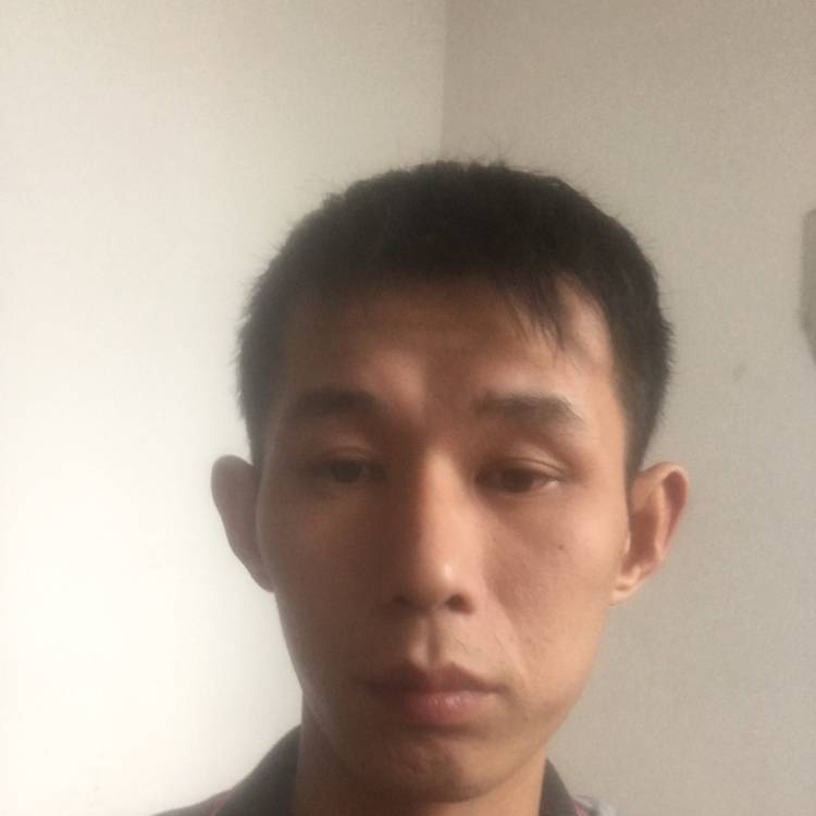 初雨請鲤鱼的照片