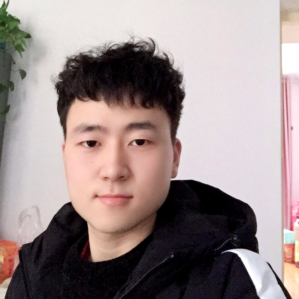 龙猫遇見着急的照片
