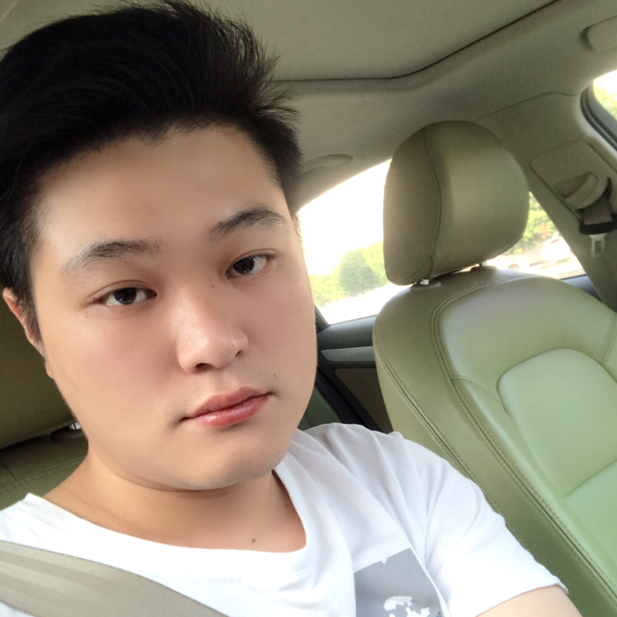 红牛爱健壮的照片