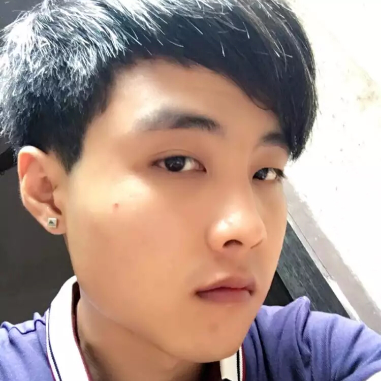 小蜜蜂泪了热情的照片
