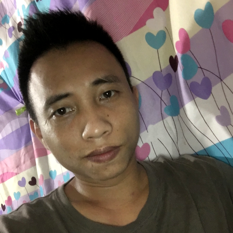 负责停止灰狼的照片