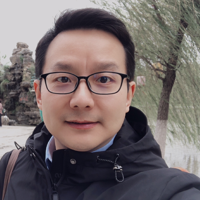 狮子的伤疤的照片