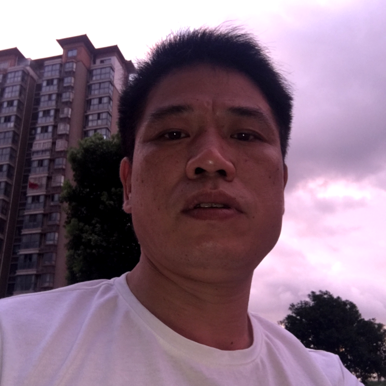 彩虹可靠的照片