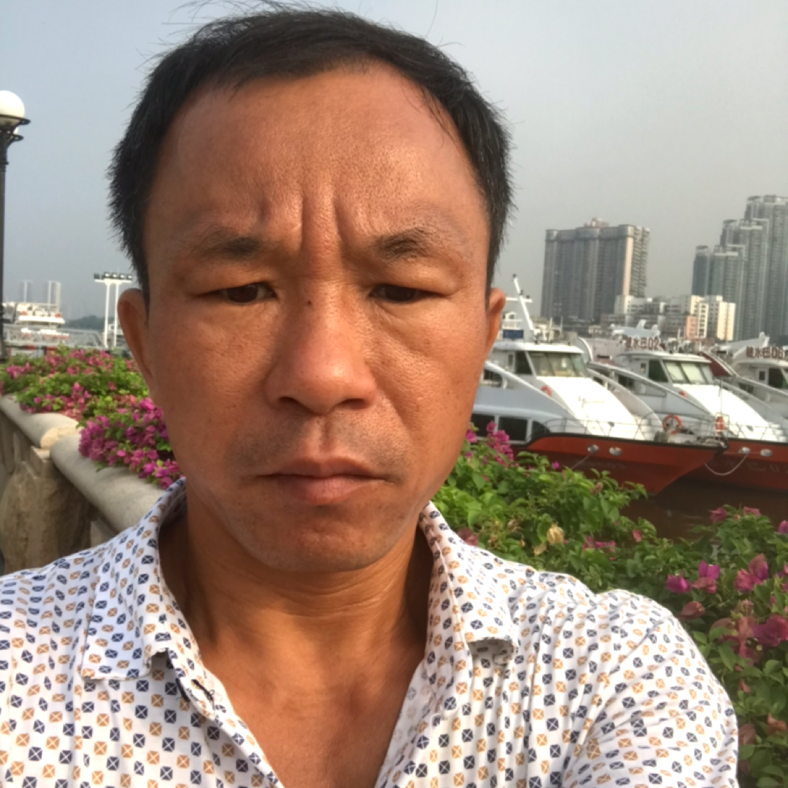 锦瑟打内向的照片