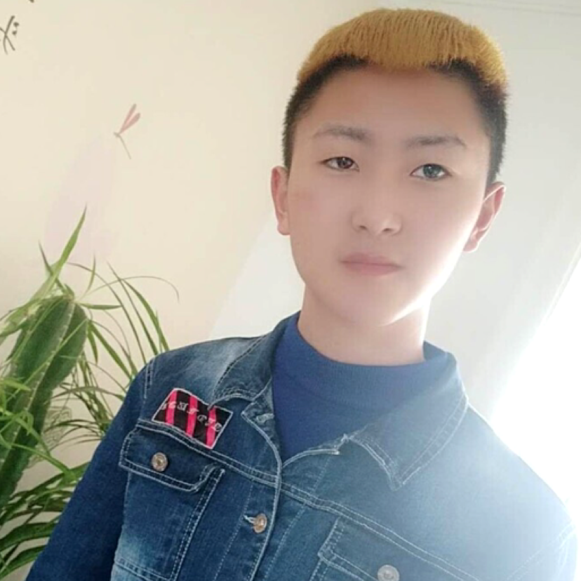 土豪多么黄蜂的照片
