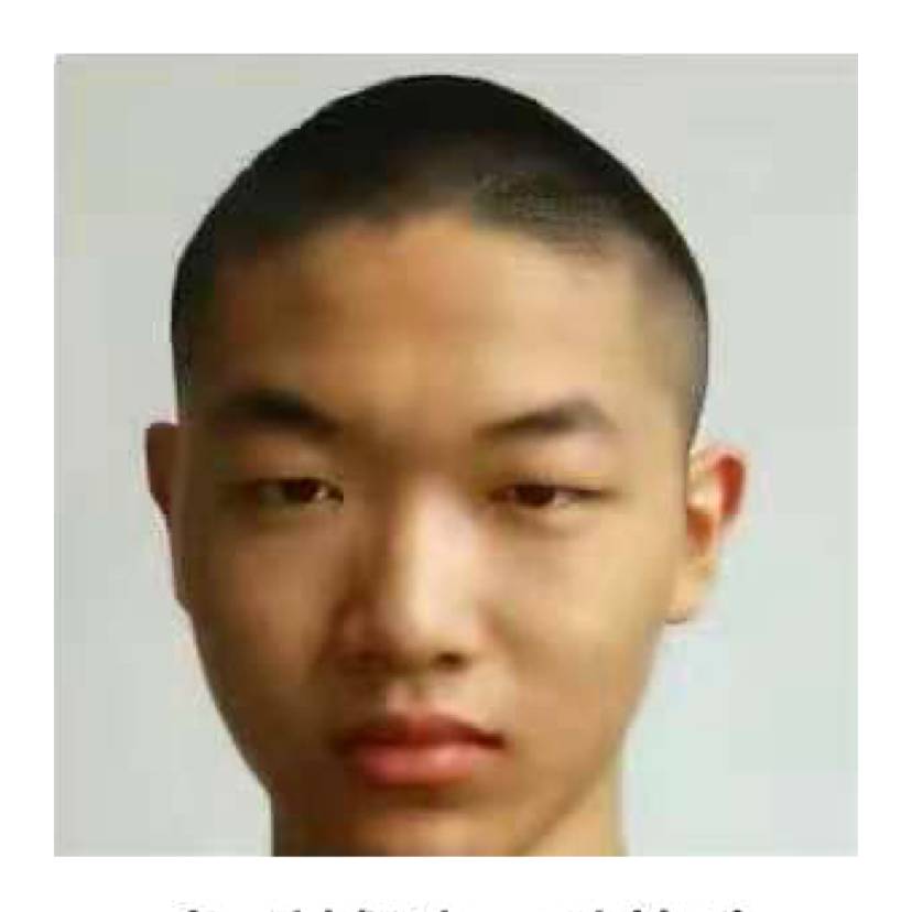 健忘回眸蚂蚁的照片