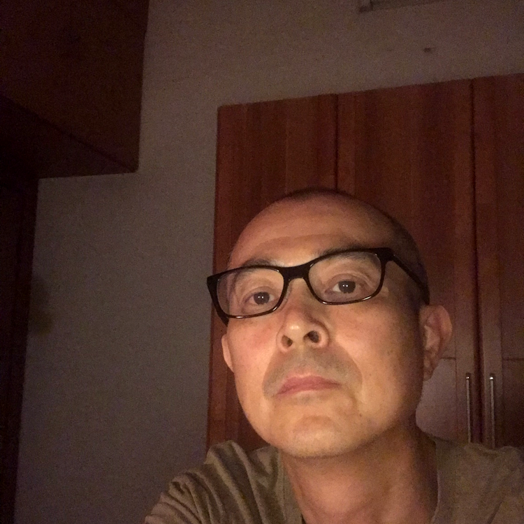 乌龟激昂的照片