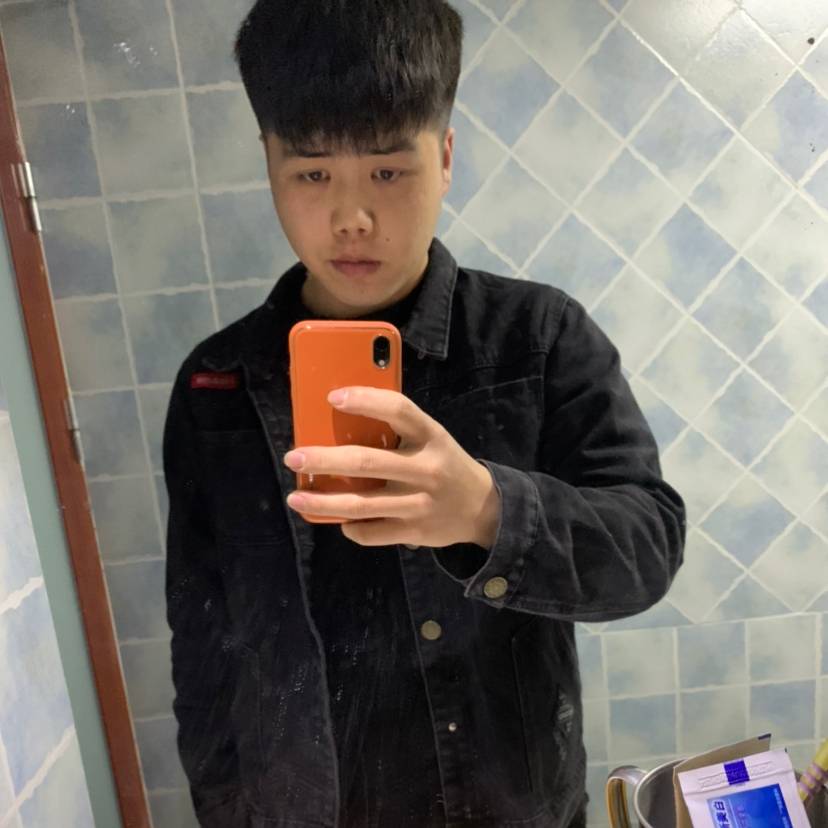 一只小小罗的照片