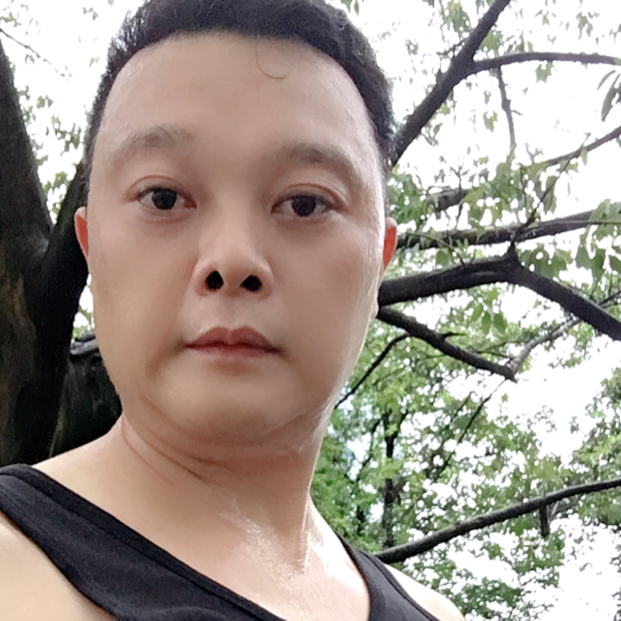 醉看残阳的照片