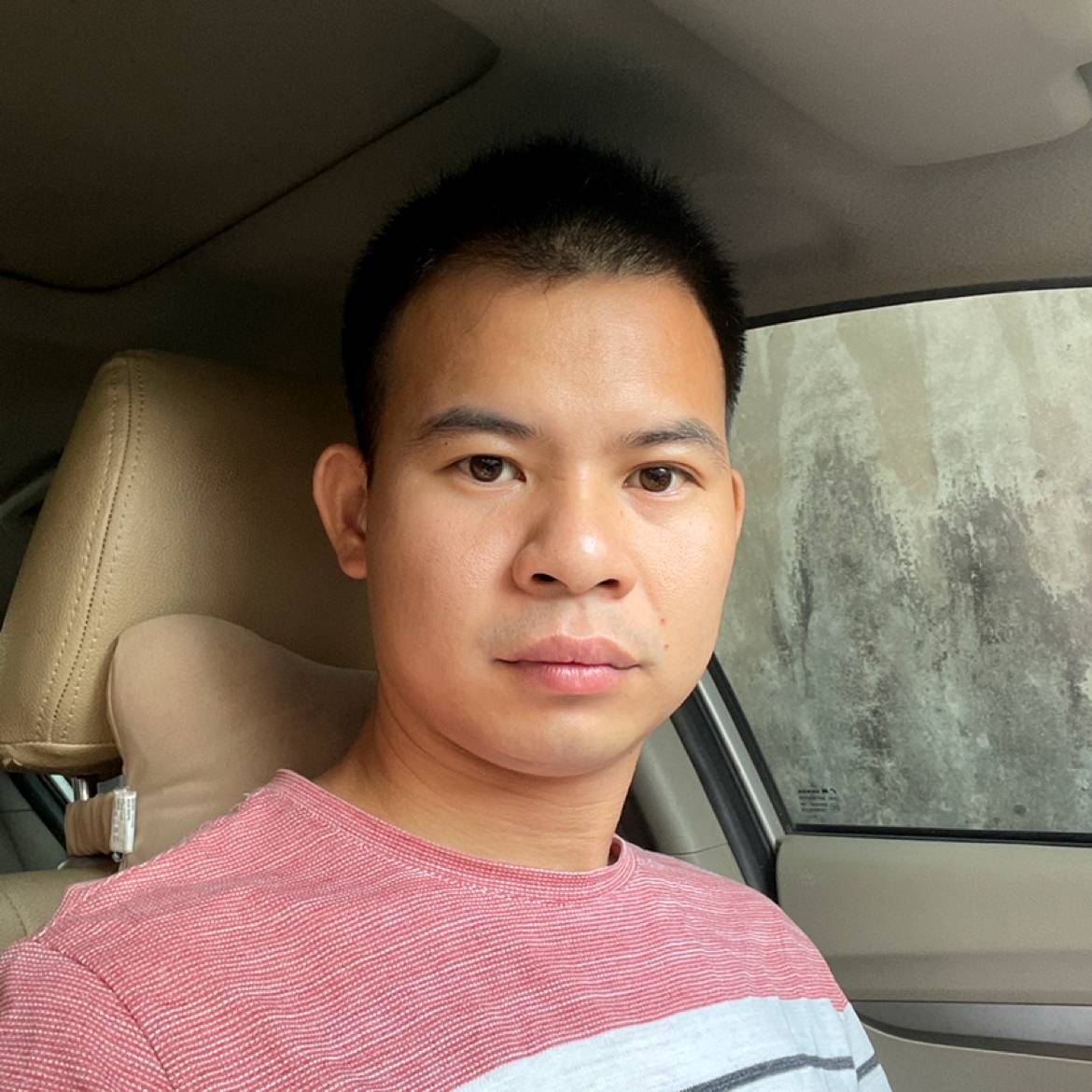 小懒猪动听的照片