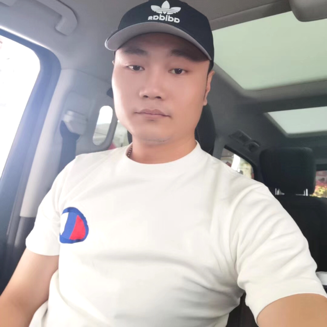跳跃浅吻枕头的照片