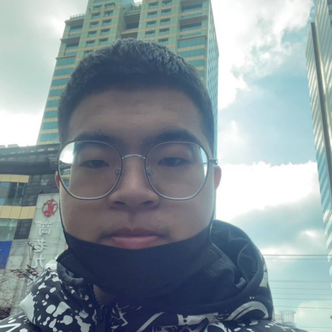 小海豚苦恋深情的照片