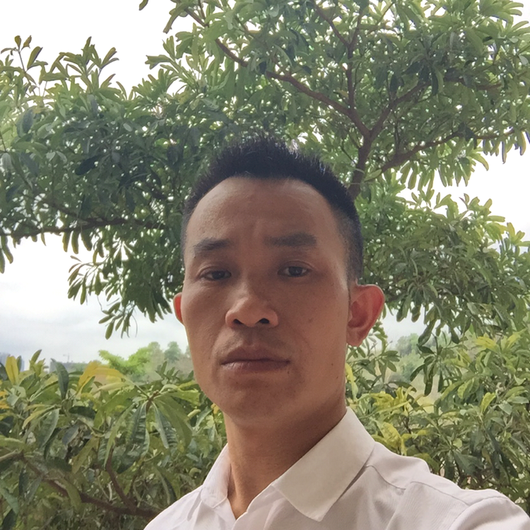 黄蜂贤惠的照片