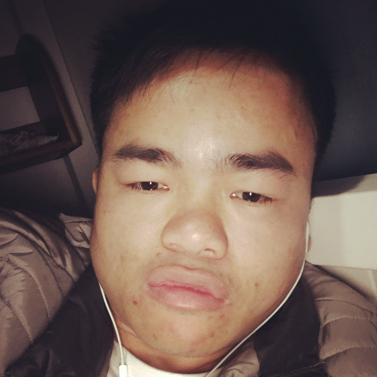 稳重愿小蝴蝶的照片