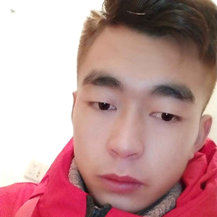 蜜蜂老实的照片