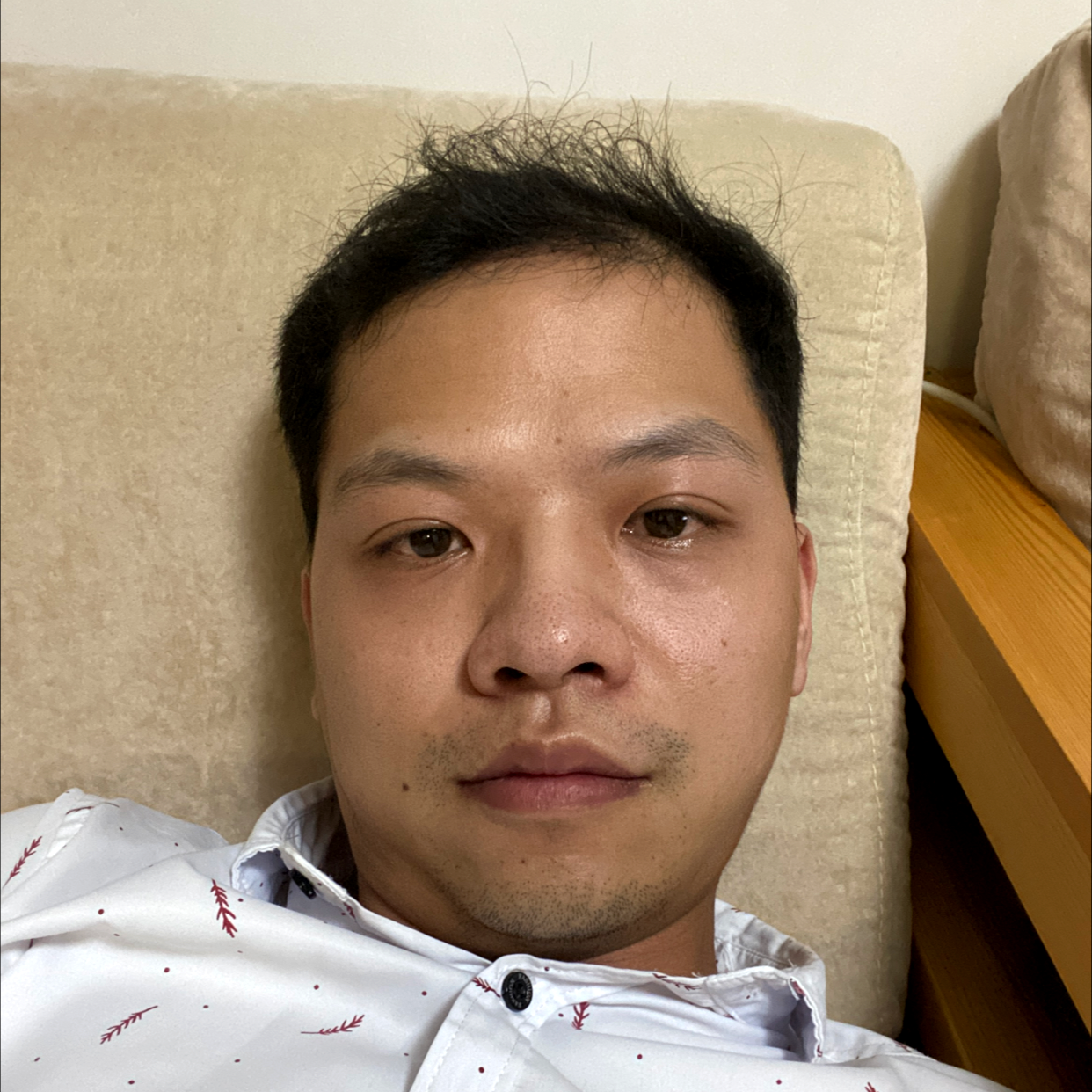 猎豹零碎的照片