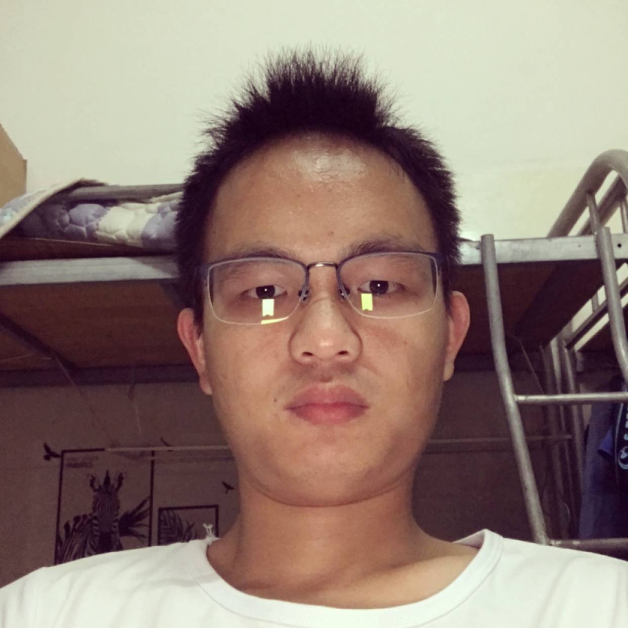 鲤鱼泪了鱼的照片