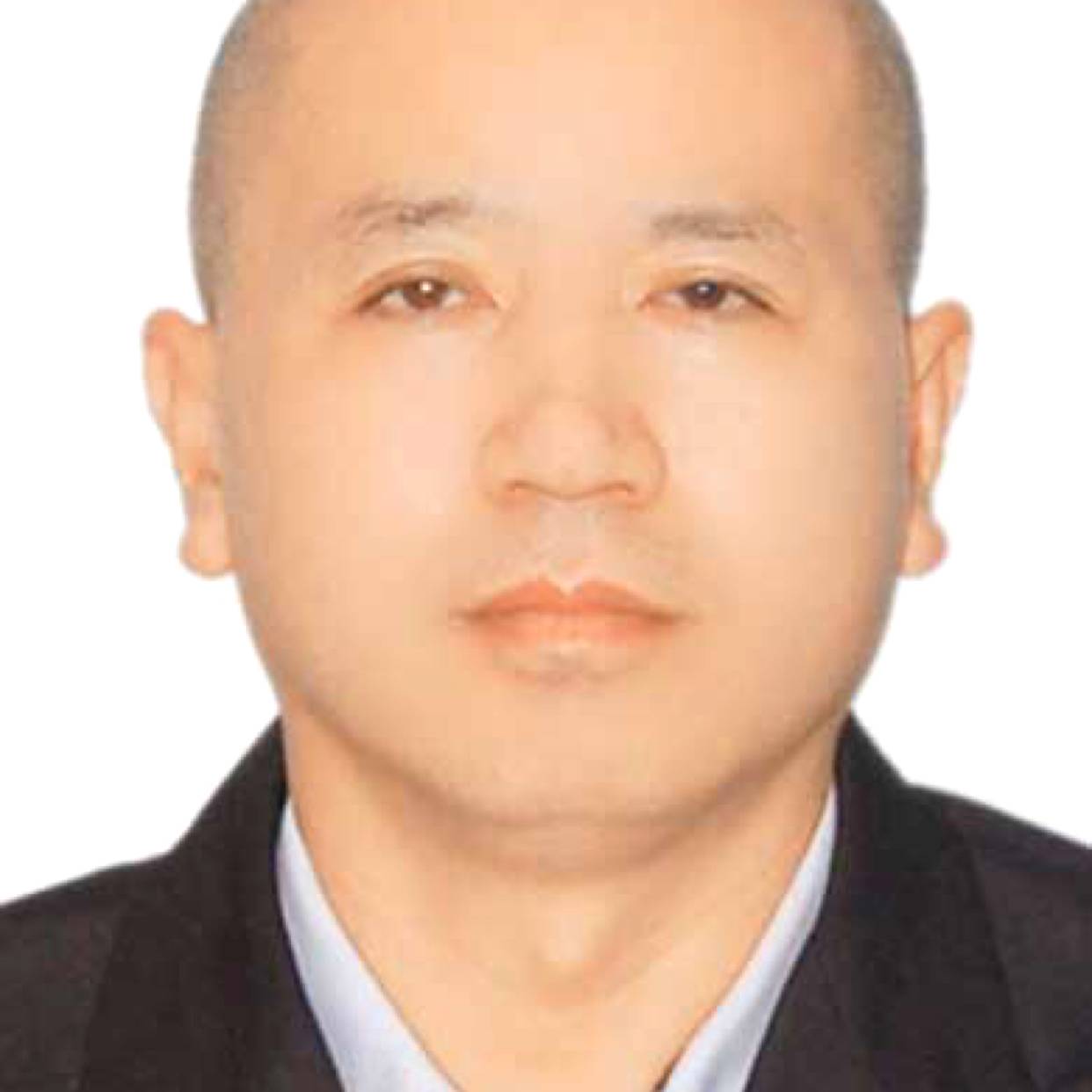 白猫凝眸俊逸的照片