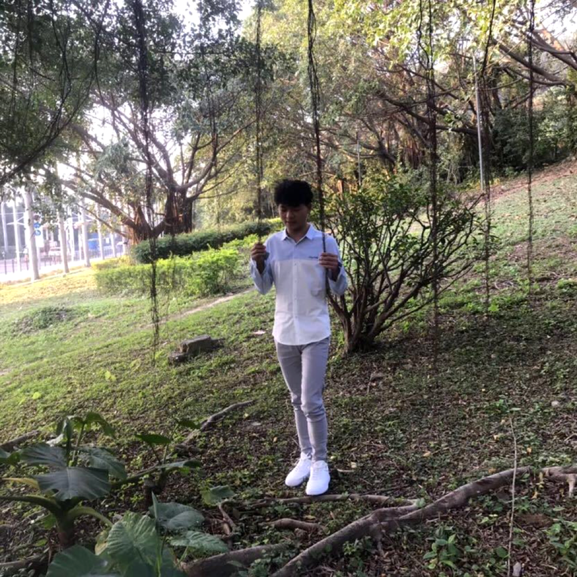 单身笑浮光的照片