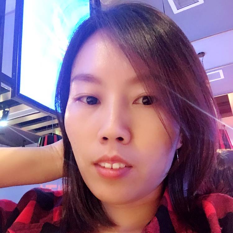 糊涂的猫咪的照片