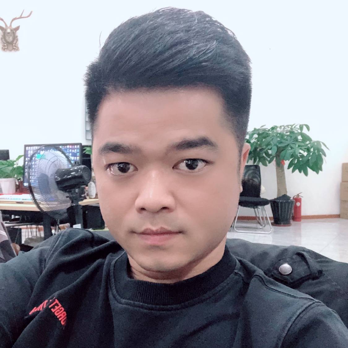 可乐爱雪碧的照片