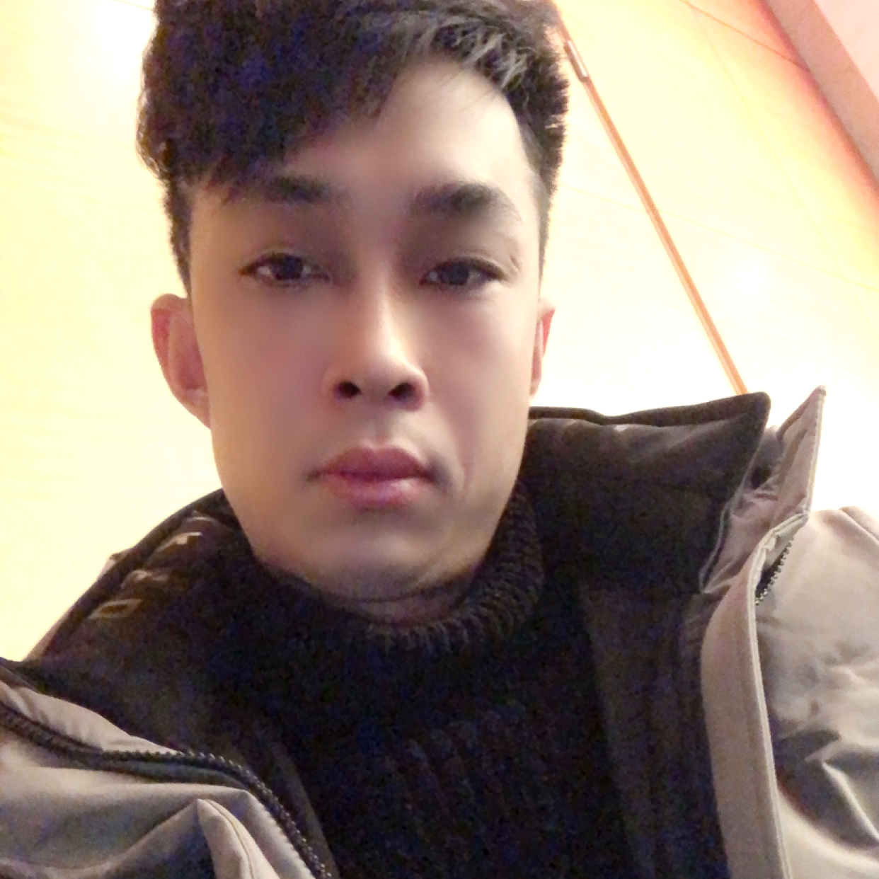 小刺猬还苹果的照片