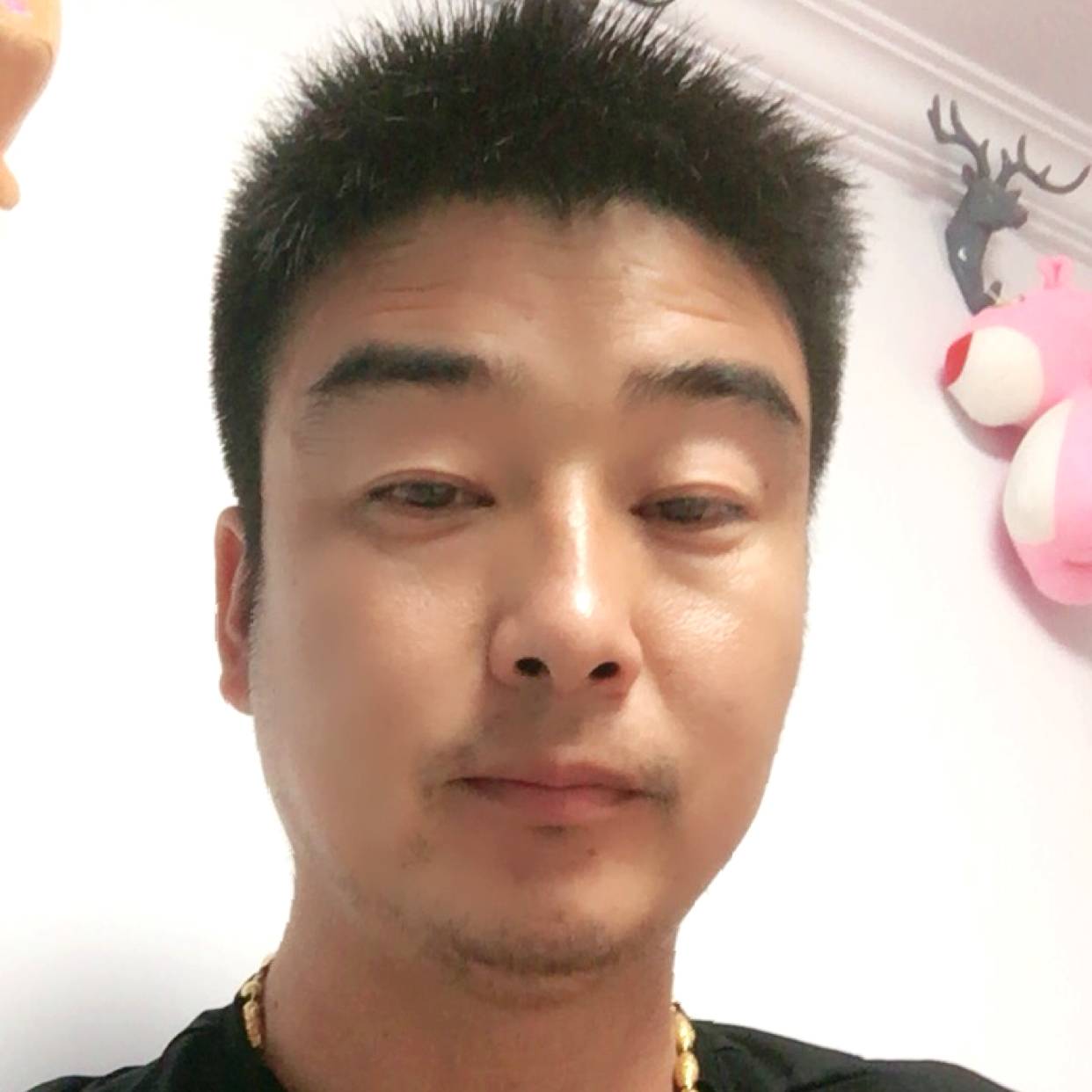缠绵漫步寒风的照片